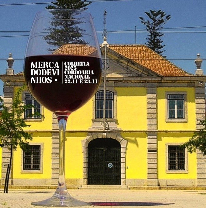 Mercado de vinhos.jpg