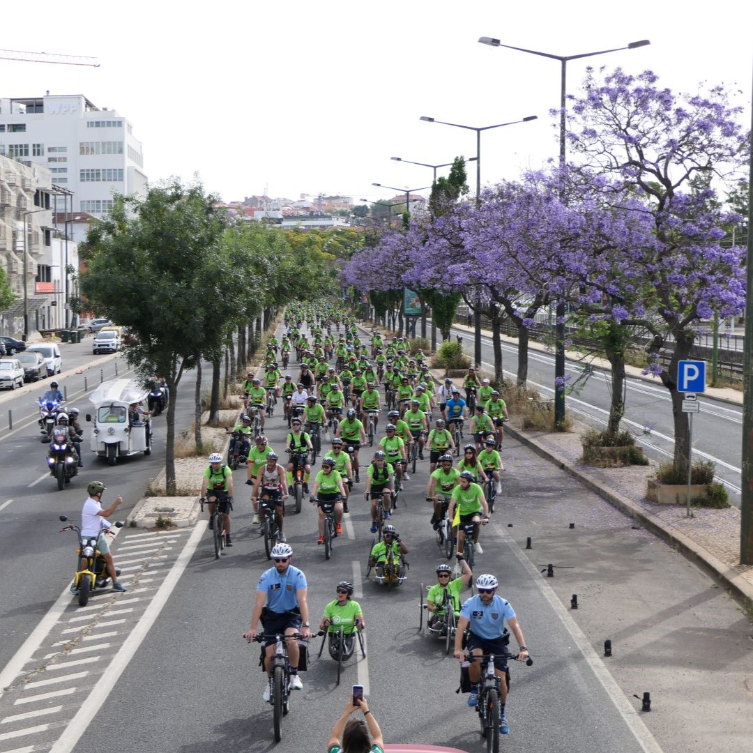 Pedala 3.JPG